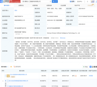 数字时代的基石 解析互联网信息服务的演化与未来